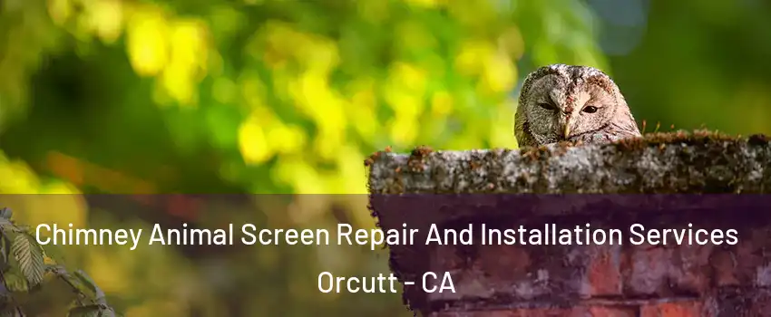  Chimney Animal Screen Repair And Installation Services Orcutt - CA
