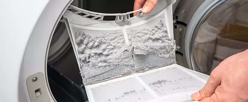Best Dryer Lint Removal Company in Orcutt, California