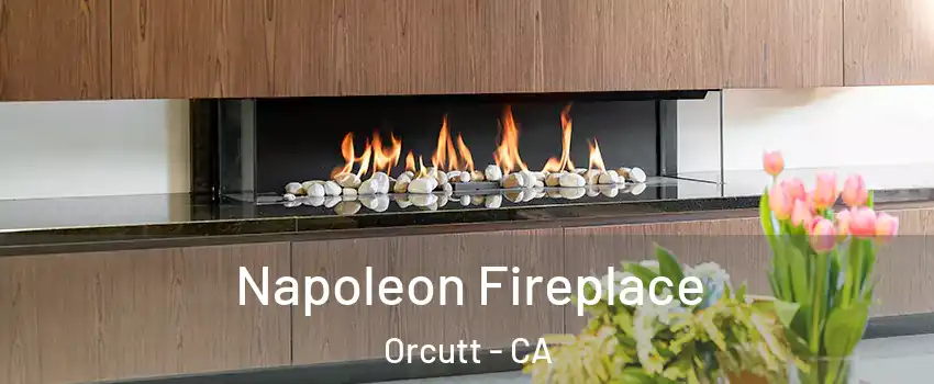  Napoleon Fireplace Orcutt - CA